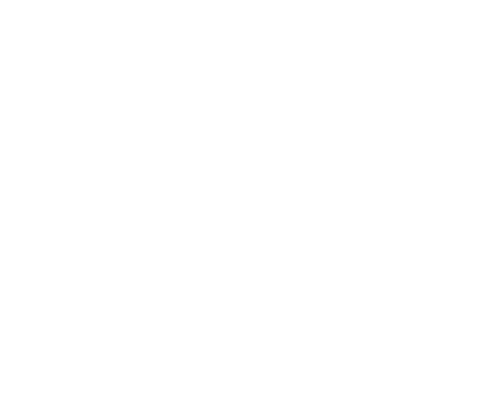 Paula Luna Logo in white, Wedding and Elopement Photographer
